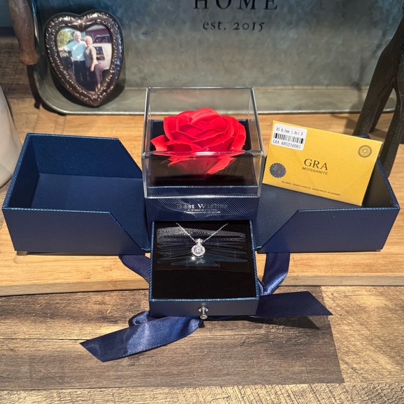 Over 1 ctw crown halo Moissanite necklace